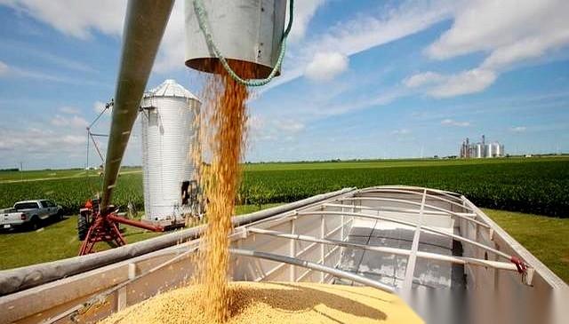 1200万吨美国大豆，刚下单。消息传过去，北边那邻居听了，眼皮都没抬一下。这