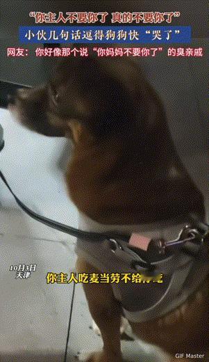 万物皆有灵性！天津，男子在路边看到一只可爱狗狗眼巴巴的瞅着麦当劳店里一个人，然后