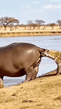 这生化武器威力也太大了吧