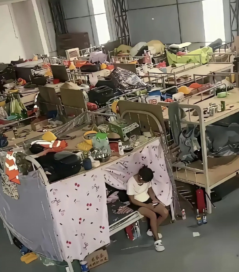 这样的大环境，他们居然没有提桶走人，确实厉害！