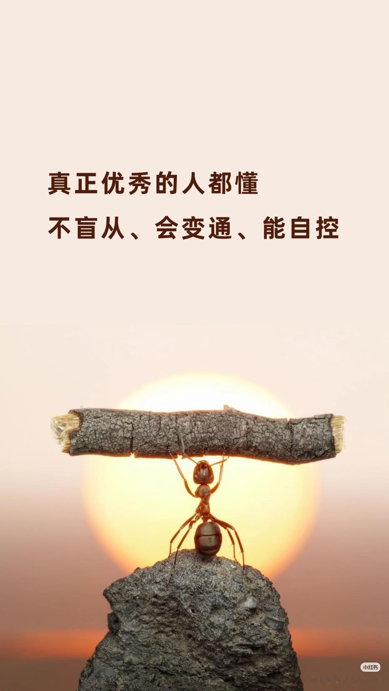 这个时代，不被割韭菜就是最大的聪明了。你会相信那些靠什么AI创业，摆地摊，自