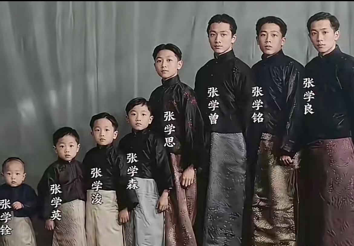 1927年，张作霖在北京就任陆海军大元帅，回到奉天帅府，他将八个儿子召集到一起，
