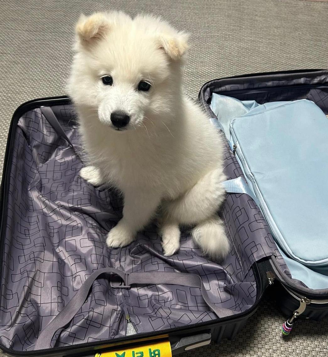 人，下次回来是什么时候耶，能不能也带上我