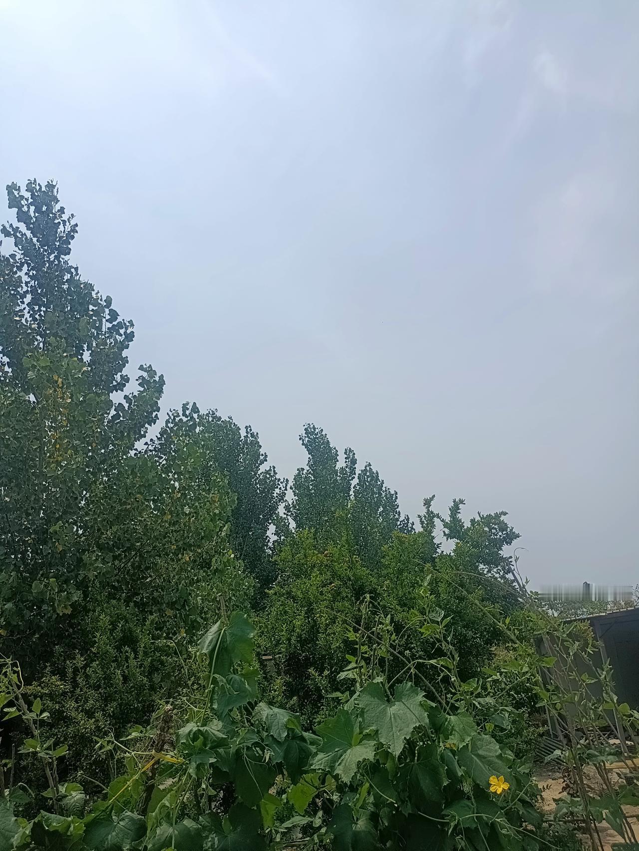 一位性学专家说：“男人绝不能碰的8种窝边草：第一个表姐，第二个朋友妻，第三个女下