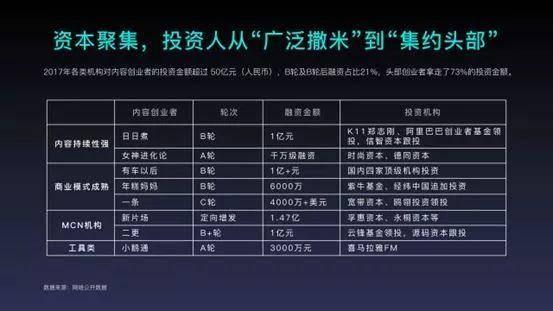 收入证明_2018视频网站收入(2)