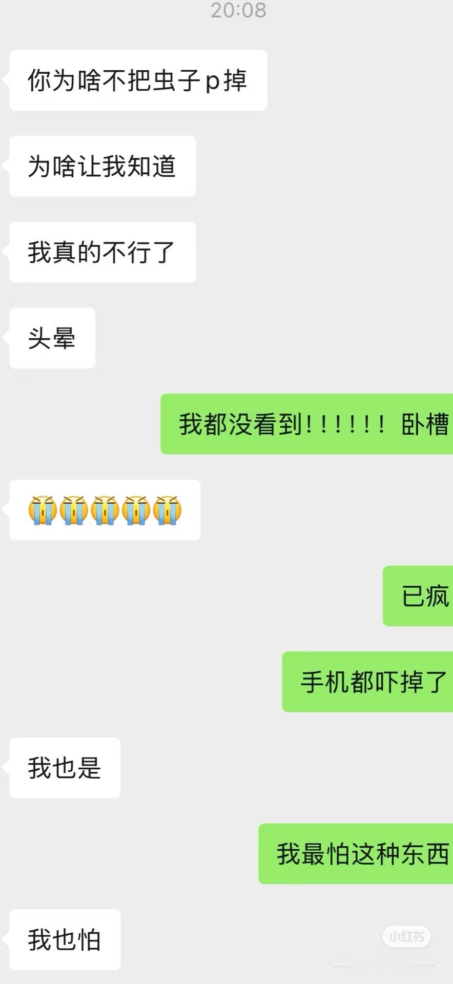 羊粉全部把虫子照片转权限吧孩子吓哭了​​​
