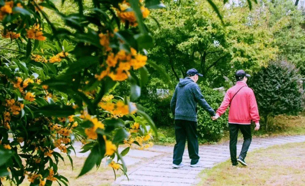 我的堂妹是独生女，二伯父为了把宝贝女儿留在身边，入赘了一个上门女婿，男的离过婚，