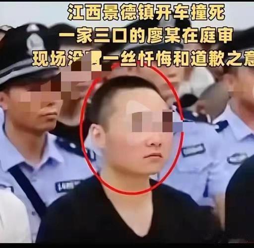 景德镇车祸判死缓！肇事司机父亲拿“仙家还魂”甩锅，网友怒了：这歉意比纸还薄！