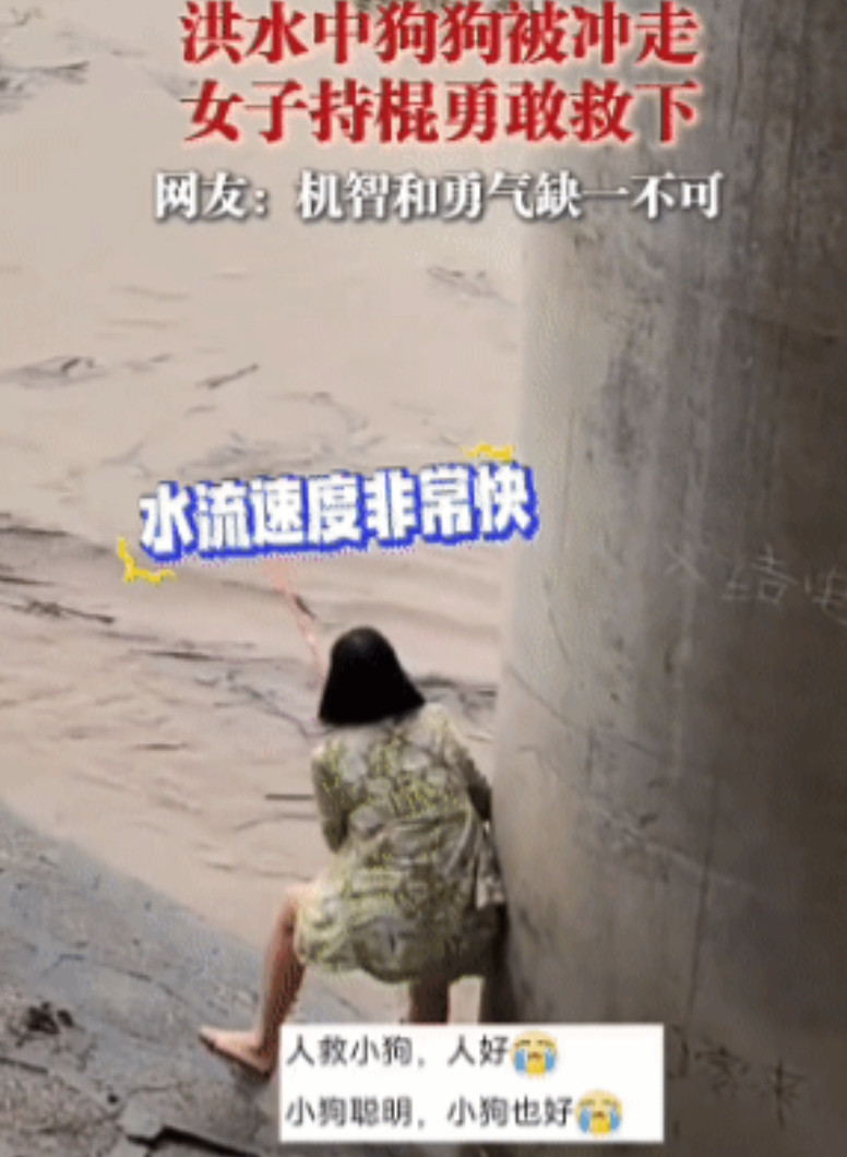 “狗好，人也好！”湖南，一只狗狗在洪水里翻滚，嘴里叼着一个塑料瓶，顽强地在水中挣