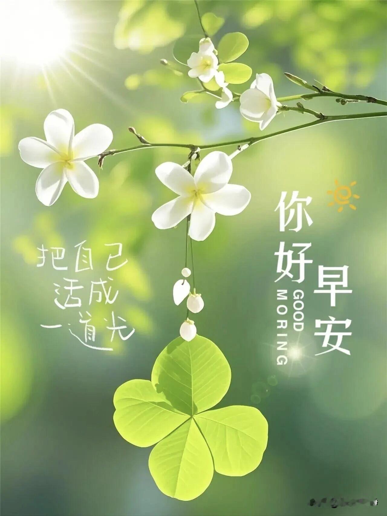 🌼²º²⁶/₀₆.₂₀ᵕ̈ᵕ̈周六｜早安☀️🍃🍎🐎假日慢时光，放宽心