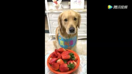 12150664638158897341.jpg?id=0