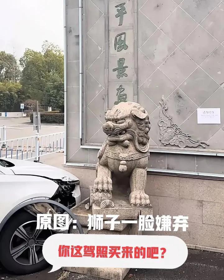 笑疯啦！有网友开车撞上石狮子，被石狮满脸嫌弃狠狠“拿捏”石狮子满脸生无可恋的嫌