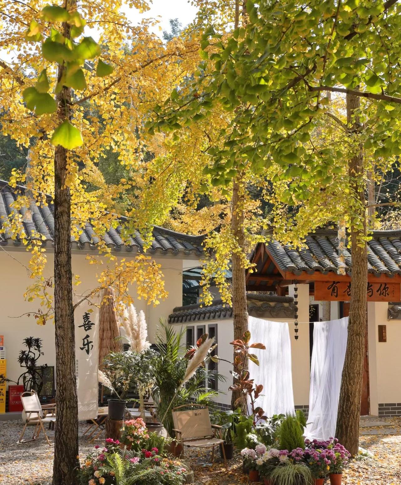 邻居家的女儿大学是在外地上的，毕业后就在当地找了工作，工资还可以，但是压力很大，