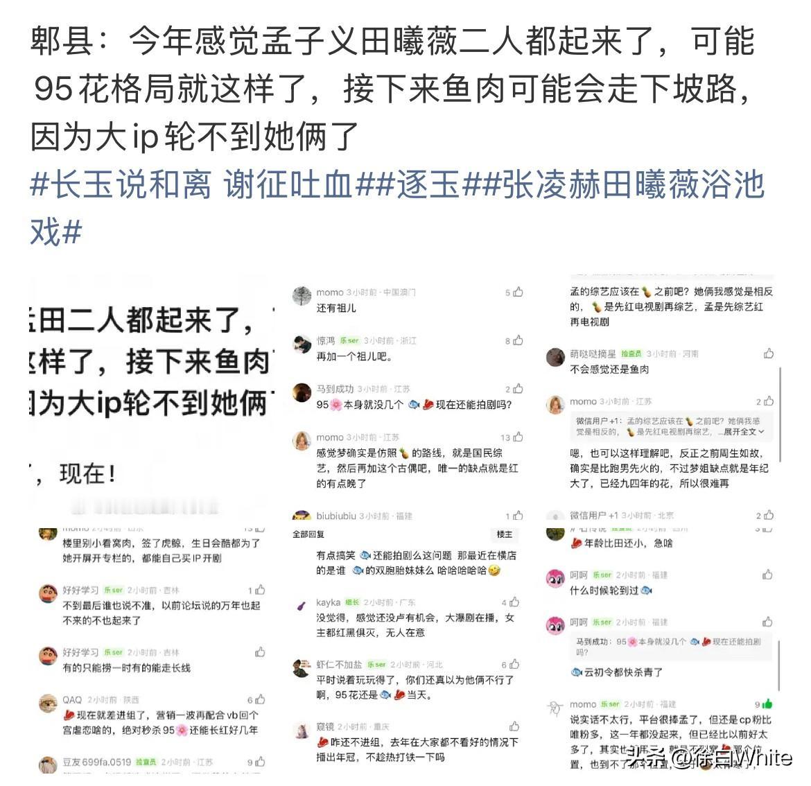 3月16日，看大家讨论，说今年感觉孟子义田曦薇都起来了，可能95花格局就这样了，