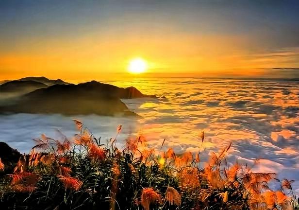 今天在小姑子家吃饺子，我见识了一种极俭极健康的生活。没有满桌花哨的凉菜热菜