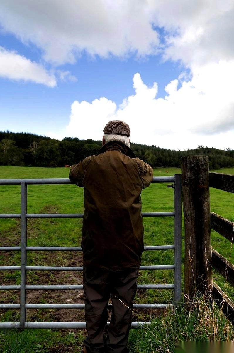 退休第三个月，我坐在沙发上，盯着墙上的钟。那秒针“咔哒、咔哒”地走，每一下，都