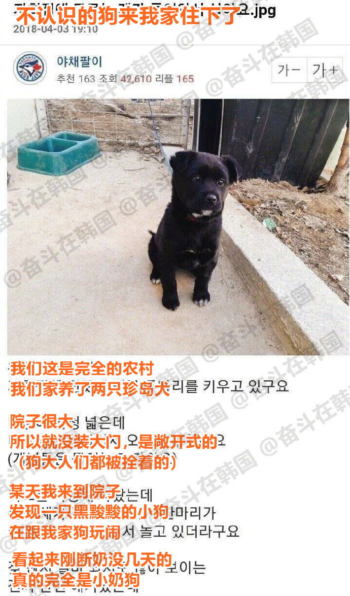 不认识的小奶狗来我家住下了​​​海外新鲜事热点现场​​​