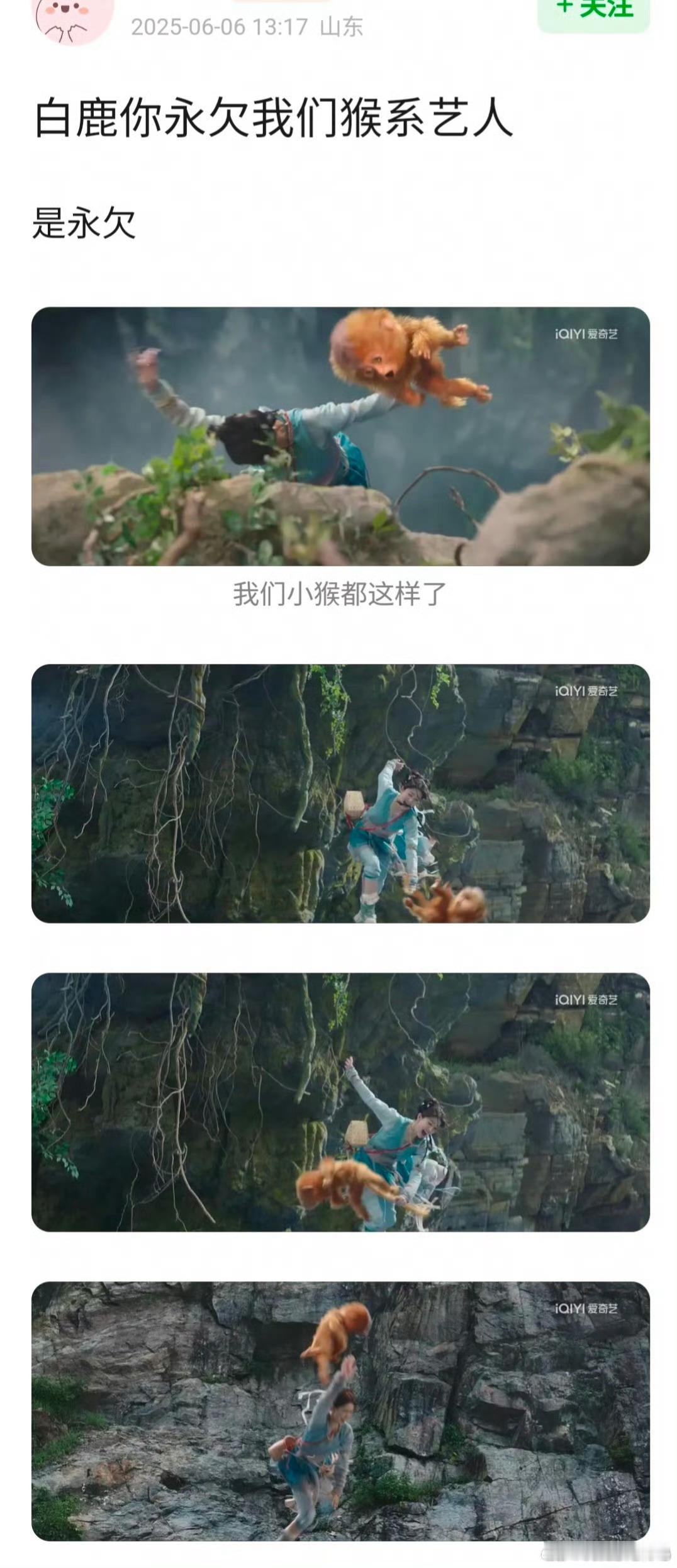 笑疯了还得是网友，这下白鹿永远让内娱少了一个猴系艺人[笑着哭][笑着哭][笑