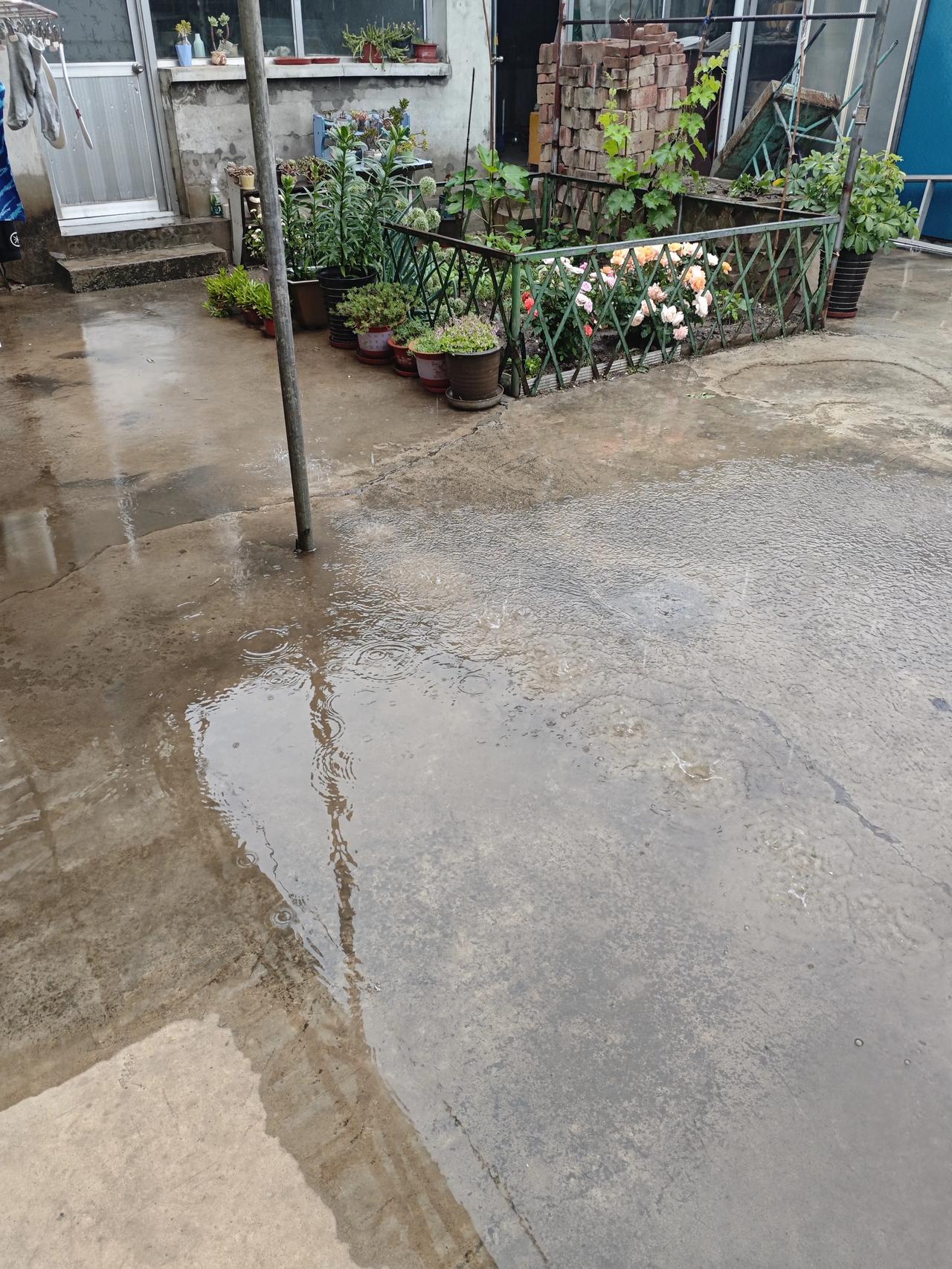 今天的雨是及时雨。缓解干旱的土地。农民再也不用拉水种田了。雨后正好播种玉米。