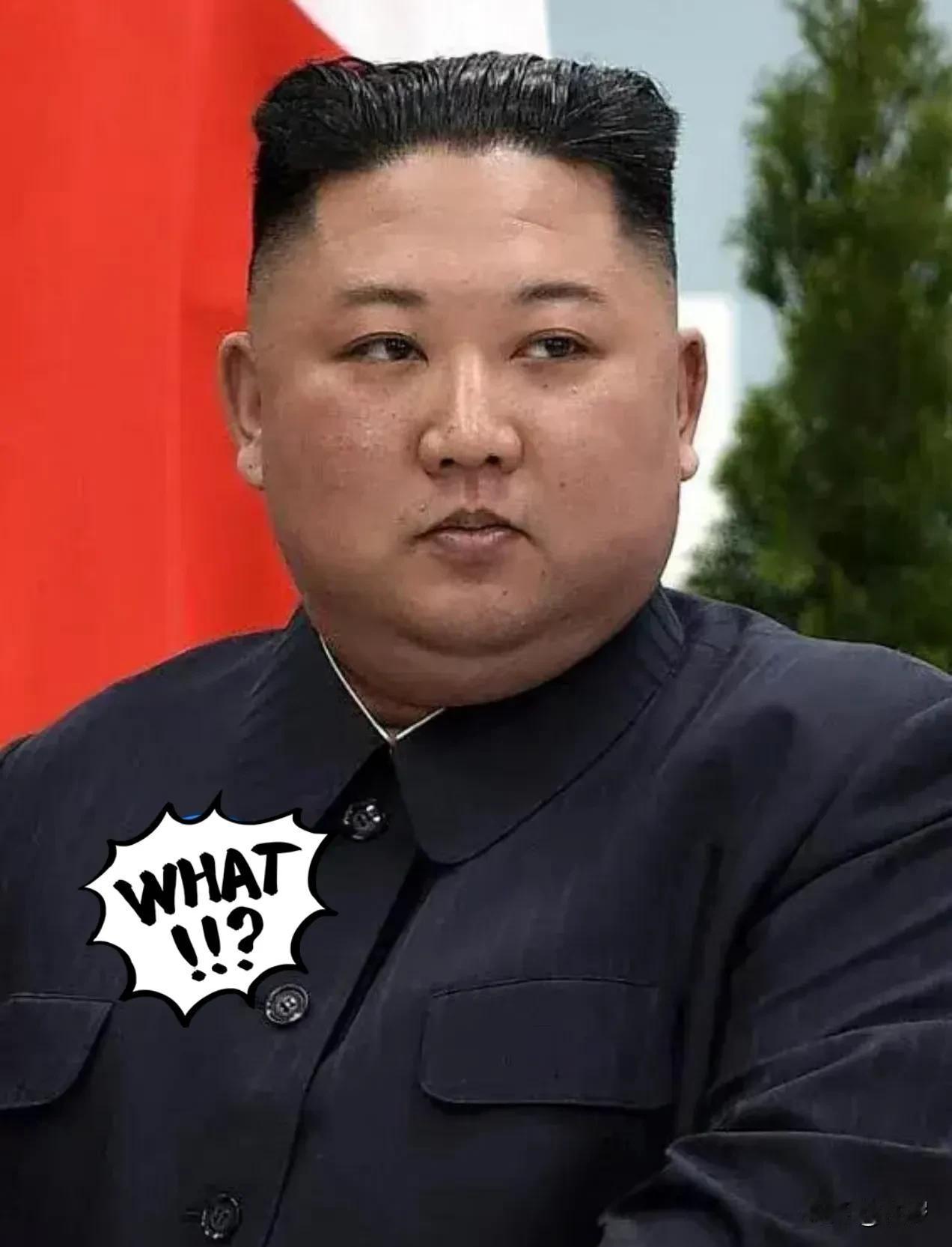快讯！快讯！朝鲜突然宣布了10月8日，朝鲜最高领导人金正恩在平壤宣布：与老