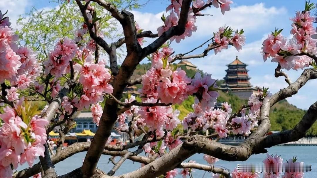 你离职了，还会回到原公司上班吗？不知道是不是太想念原来的公司，还