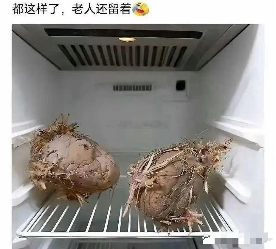 老一辈就是节约，殊不知电费都比他们贵