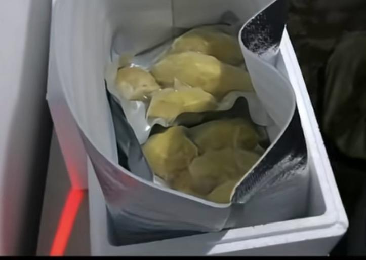 花190元买榴莲仅退款的山东女子袁某某，她比想象中的更为可恶！起初我以为，她只