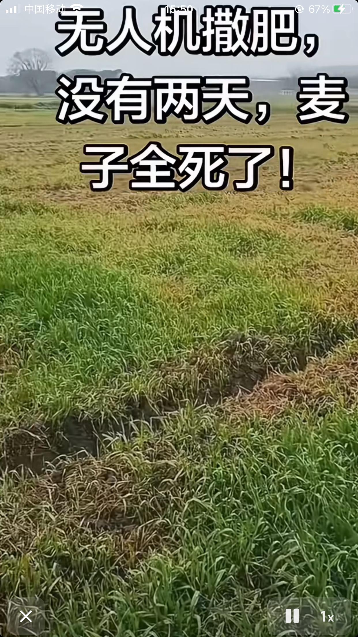 这是干什么呀…集体抵制无人机施肥作业吗？点进去就是一张图，没有任何时间、地点