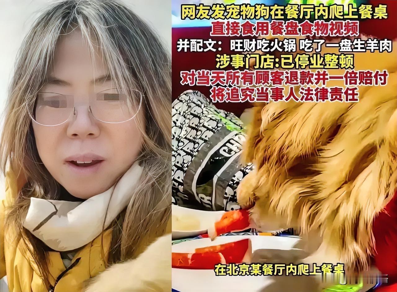 狗上桌子舔盘子，商家赔惨了！这才是真正的“人不如狗”？想象一下，你如果正在吃