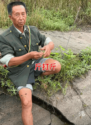 这个不像是摆拍，有全景，不是我们钓鱼的不在了！而是泥鳅黄鳝快绝迹了？我小时候经