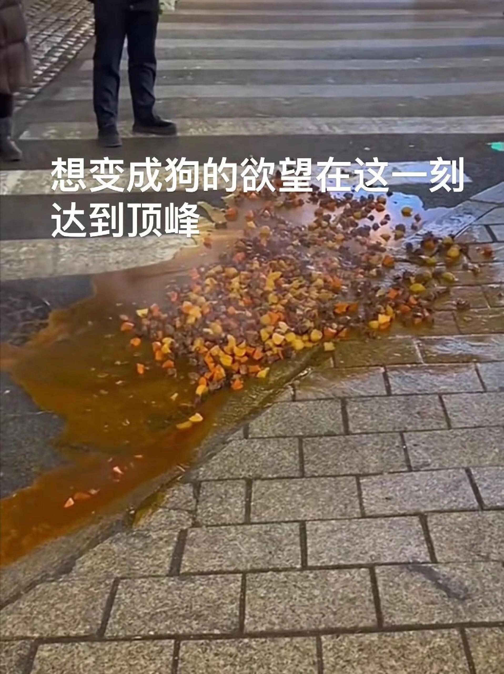 街上的人能不能先回家啊上一秒：怪浪费的我拿个打包盒打包给流浪狗走到转角：没有人的