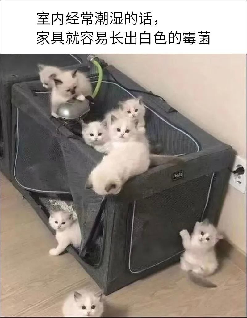 摘一朵