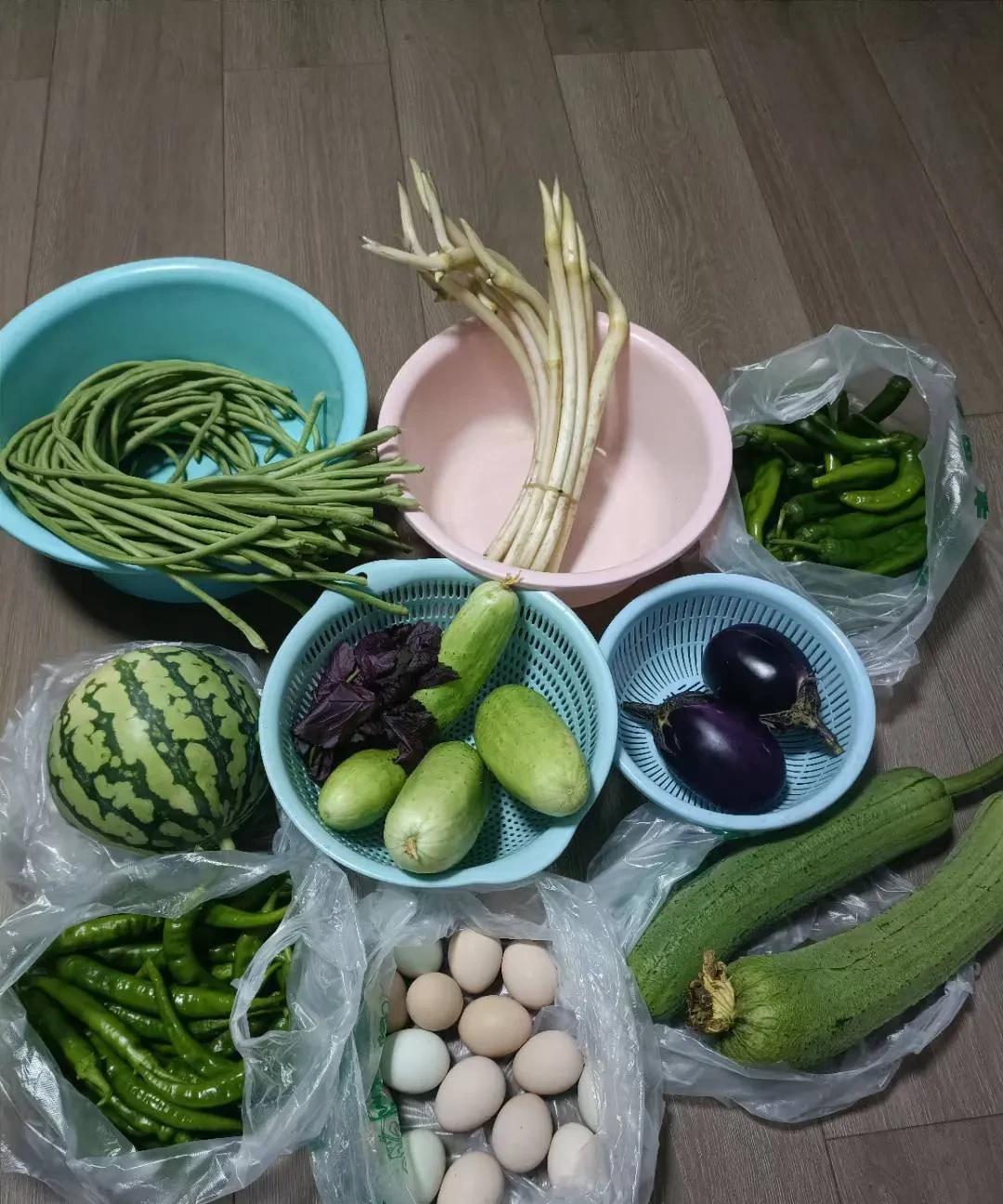 赚大发了，这一个星期都不要买菜啊！昨天是我侄子生日，他是唯一一个和我儿子玩的很