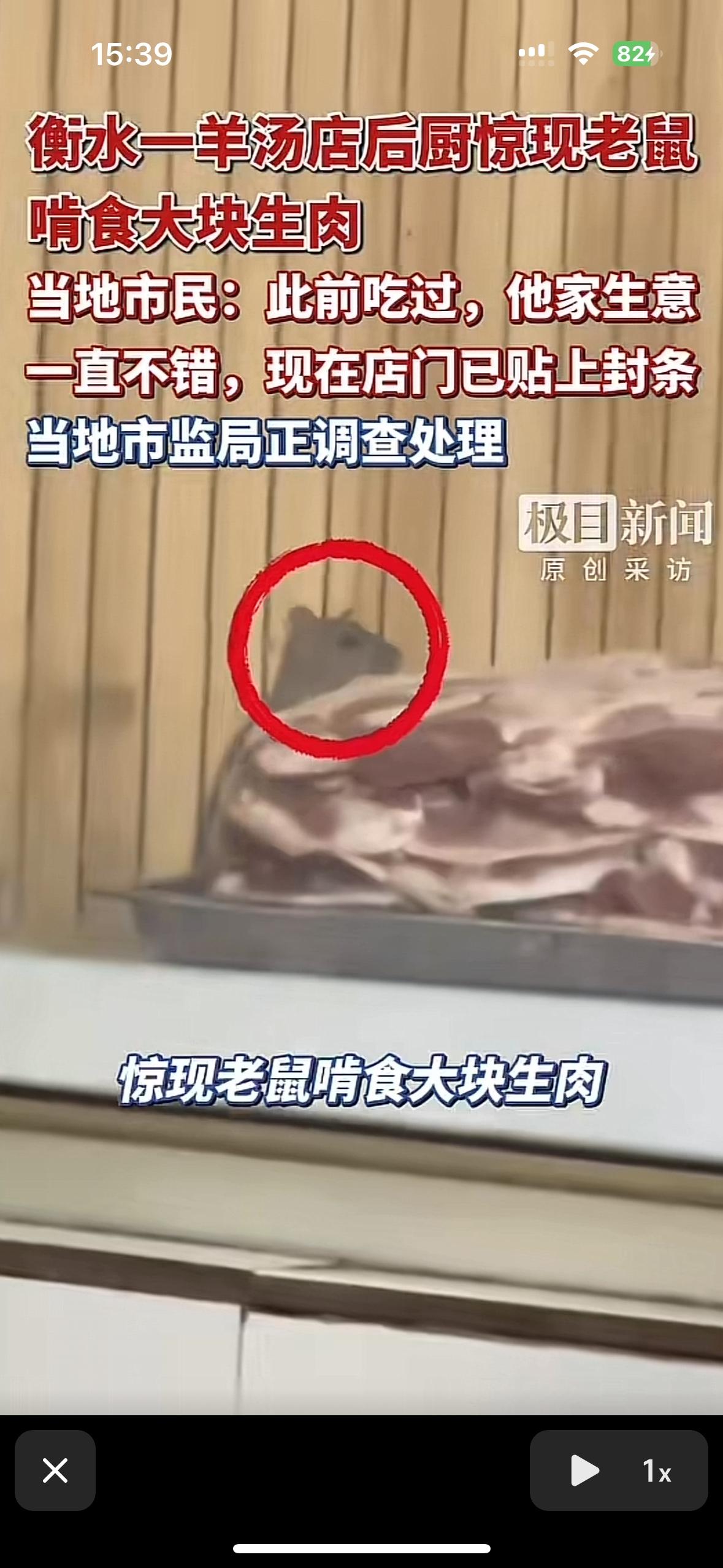 真没想到衡水居然以这种方式上新闻了衡水一家羊汤店里居然有老鼠在啃食生肉。网友们