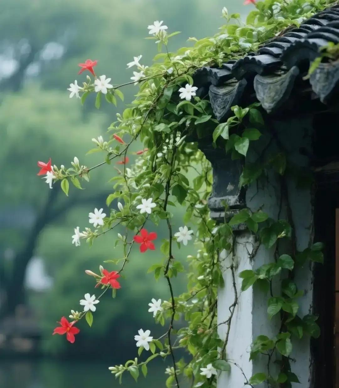 刷到一段狠人语录，说真正厉害的人从不声张。看完我愣了半天。沉下心做事，情绪说