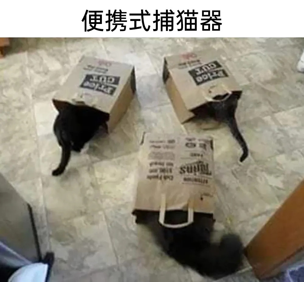 太好用了​​​