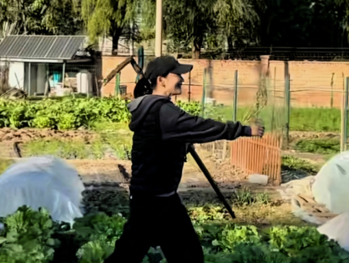 梅婷在圈里摸爬滚打了这么多年演过多少家喻户晓的经典角色，拿过多少专业奖项，名气