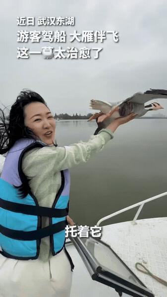 “没想到上人民日报了！”武汉，一女子驾船出海欣赏美景，突然飞来一群大雁和船并肩同