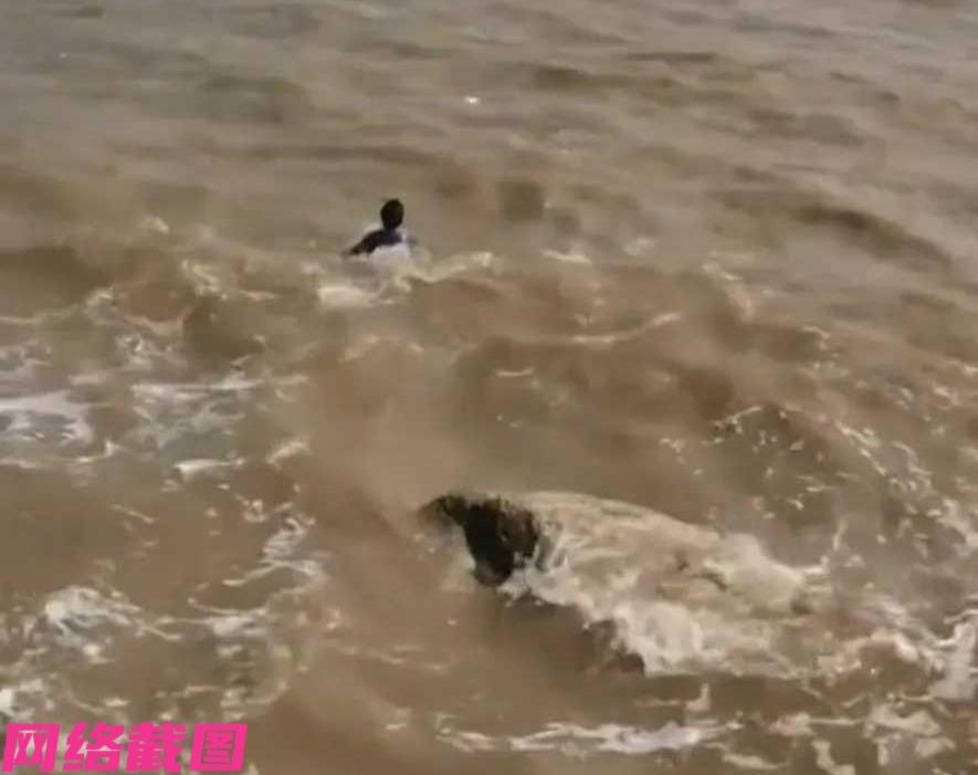 广东珠海有位爸爸，带着自己孩子在海边游玩。只是爸爸和孩子在游玩当中，还带了只