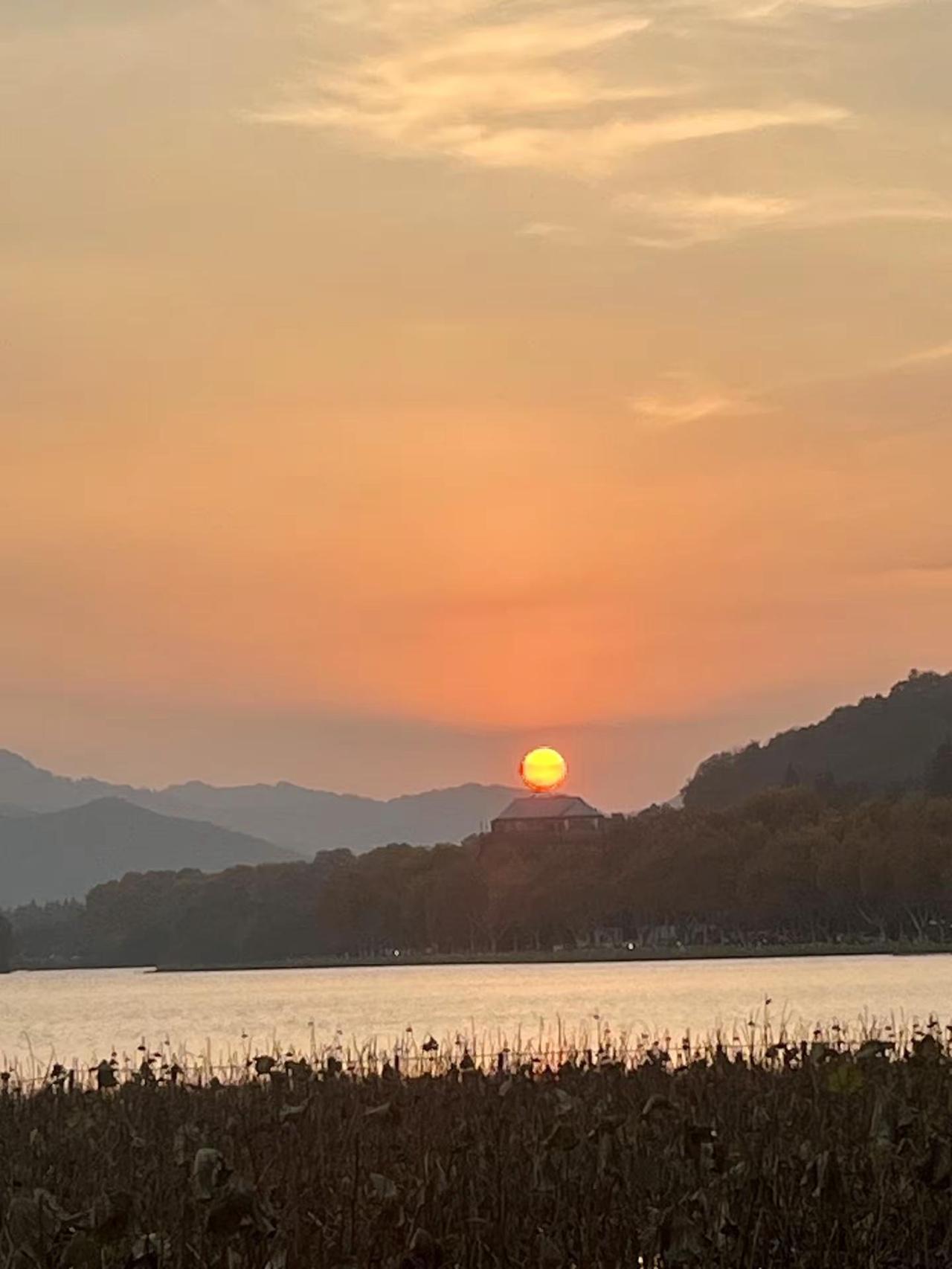 单人徒步，太子湾-苏堤，秋🍂的西湖也美爬山徒步城市风光自然风景落叶🍂