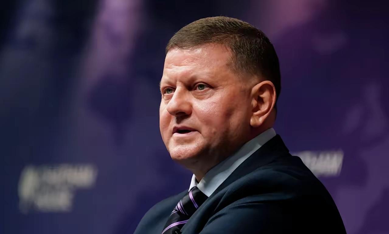 当地时间2026年2月23日，前乌克兰武装部队总司令扎卢日内在接受采访时称：目