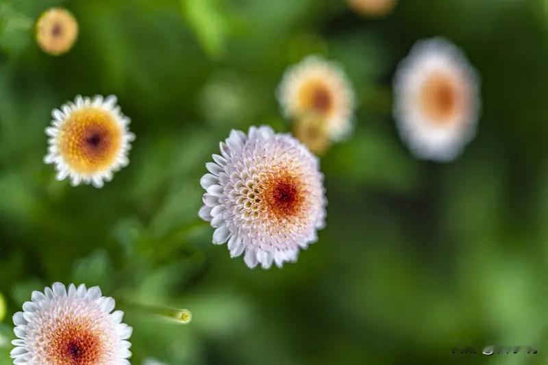 与同事相处，这些事可千万不能做!1.不要背后说同事坏话难免会遇到一些让我们不