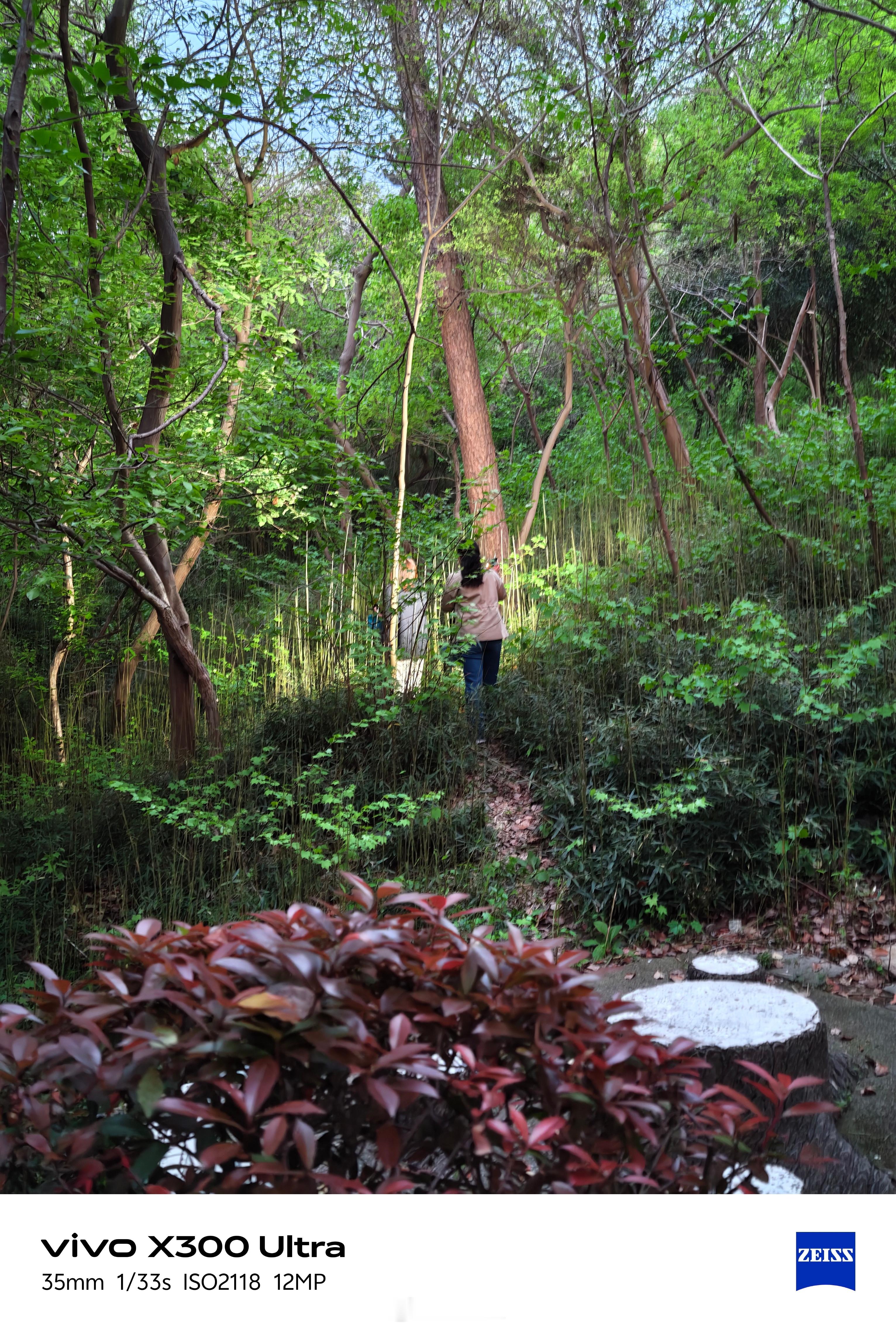 又到了经典环节，我妈溜鸟，然后鸟飞了，喊我来一起找