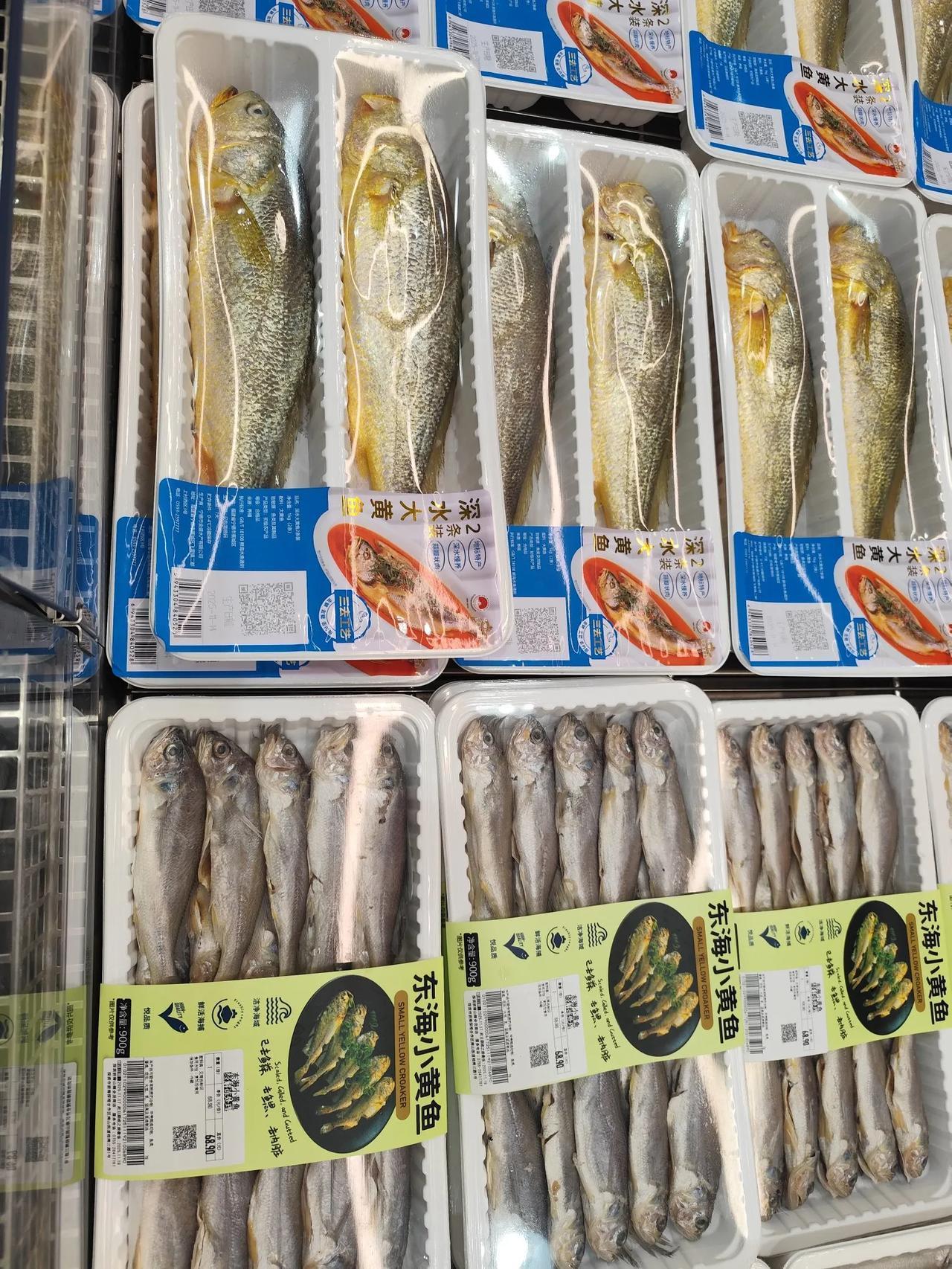 老有人分不清什么是黄花鱼，什么是黄鱼，你看图，上面是大黄鱼，下面是小黄鱼，都不是