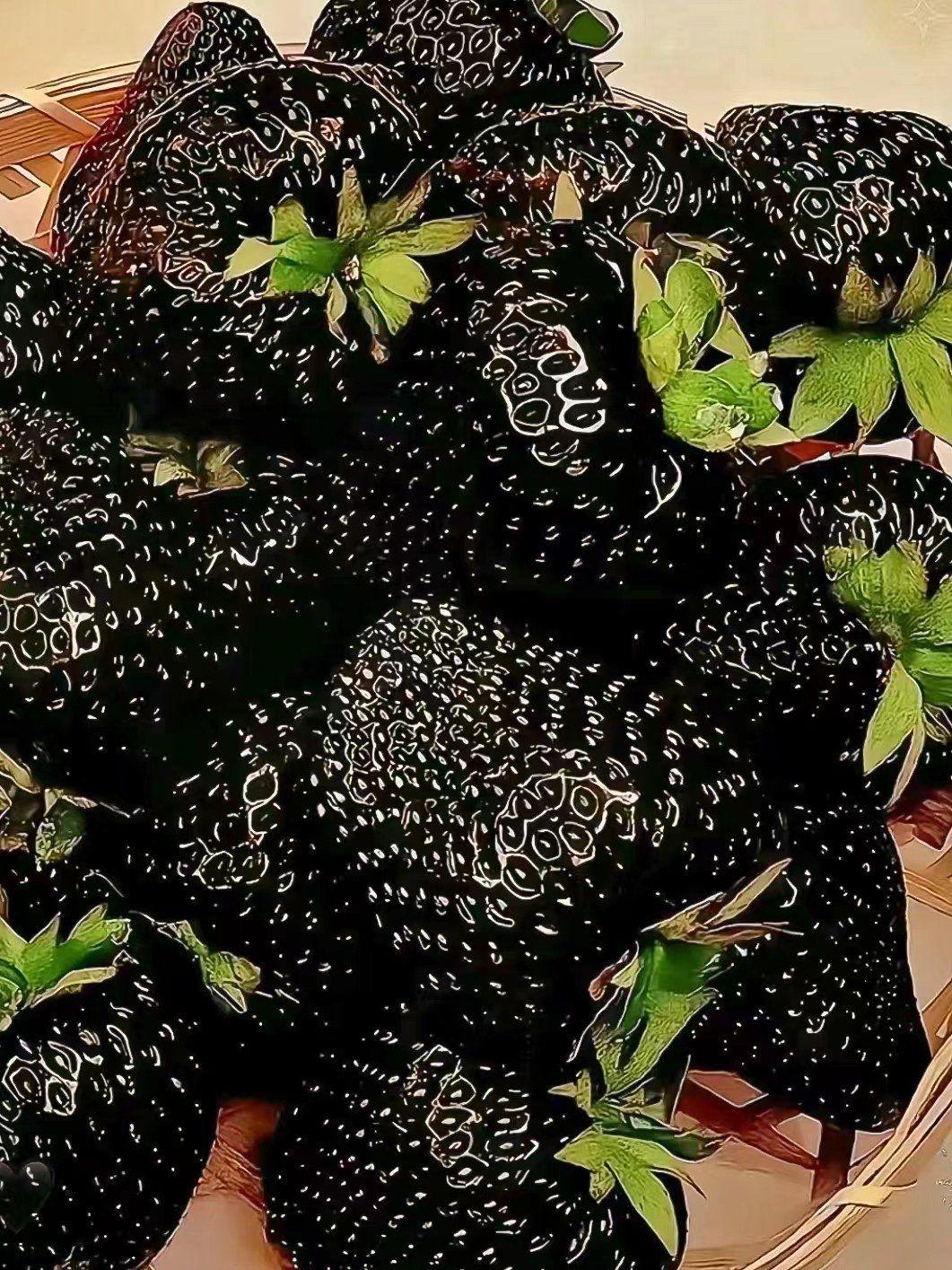 300元一斤的黑草莓卖爆！是智商税还是真的值？背后真相扎心了“一颗草莓近10