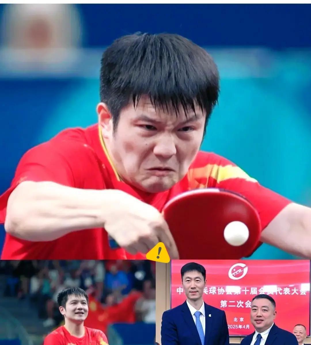 七个字，深夜砸下来，比金牌还沉。王励勤发来一句：“回来，打一届。”我看樊振