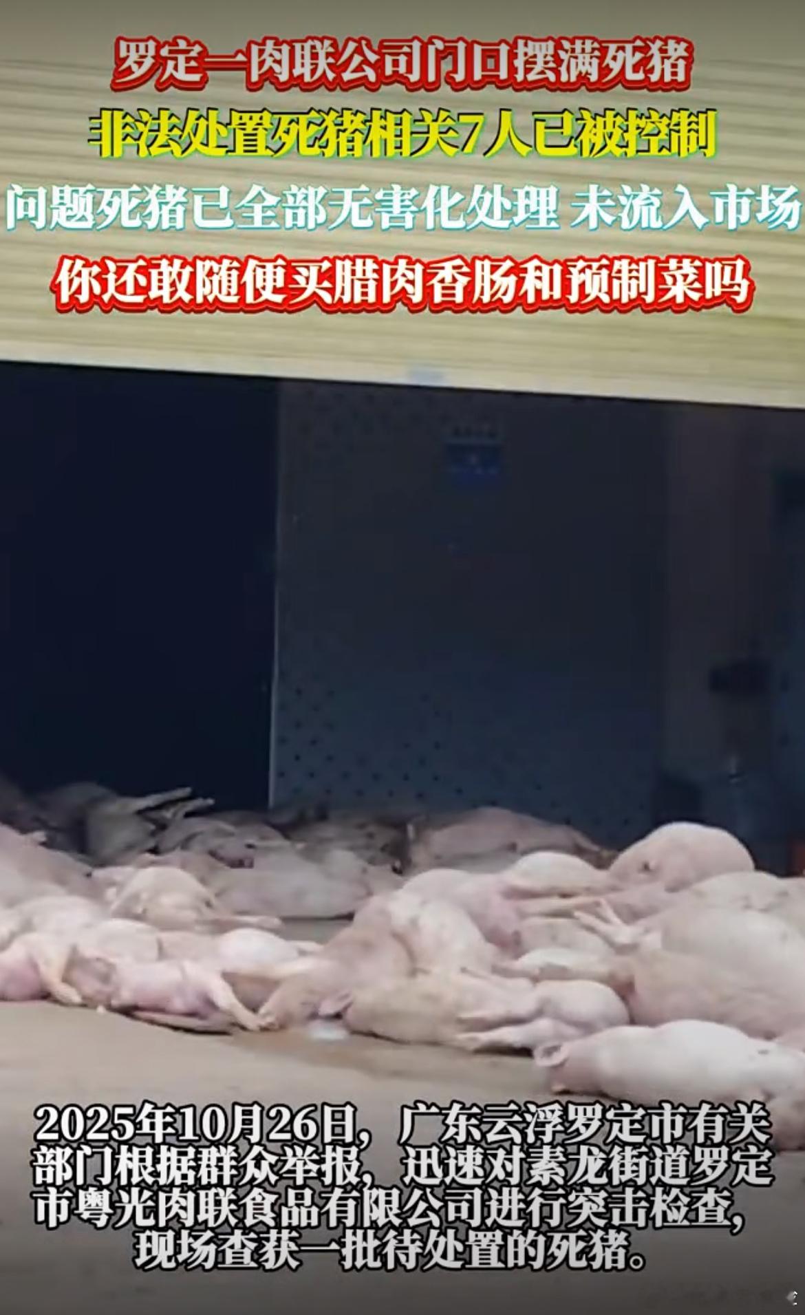 食品公司堆放死猪肉7人被控制这件事真的让人背后发凉。食品安全不是儿戏,“死猪肉”