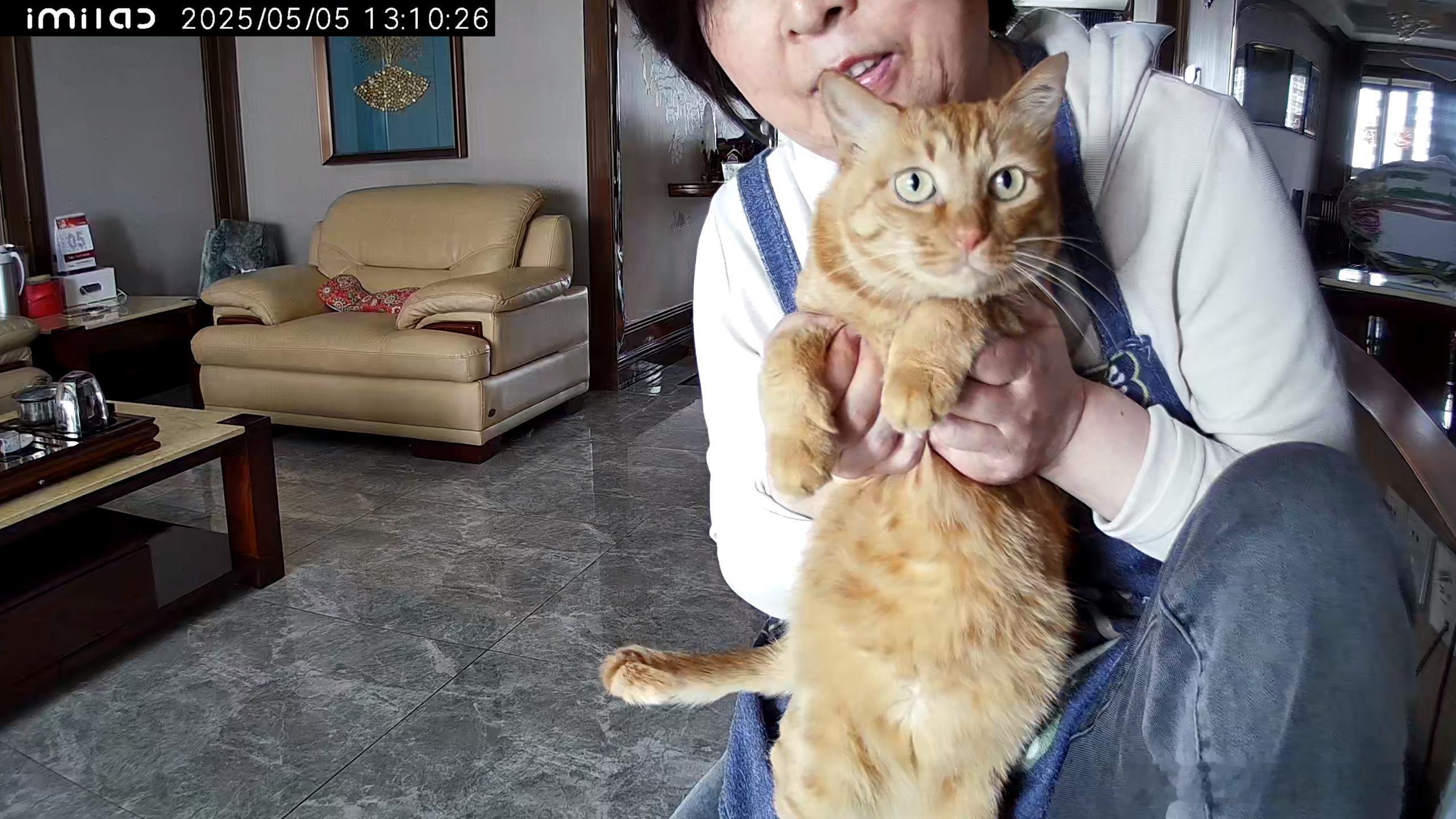 我：三个孩子都挺好的吧？没什么异动吧？我妈：挺好的！就是碗碗胆儿小，干什么都害怕