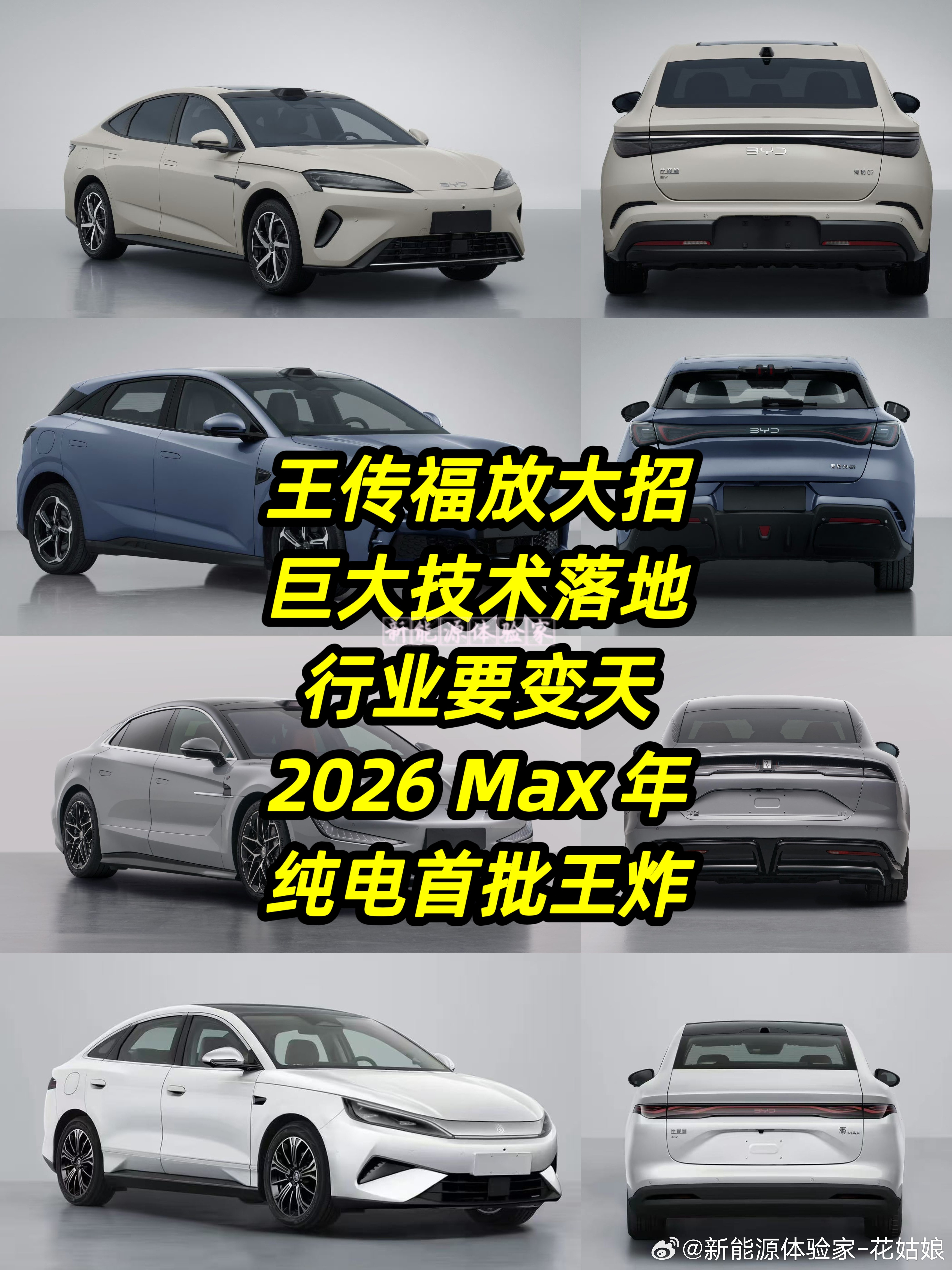 王总裁依然觉得技术做的还不够独一无二，还要加强。后面还有“巨大的”技术。不打价格