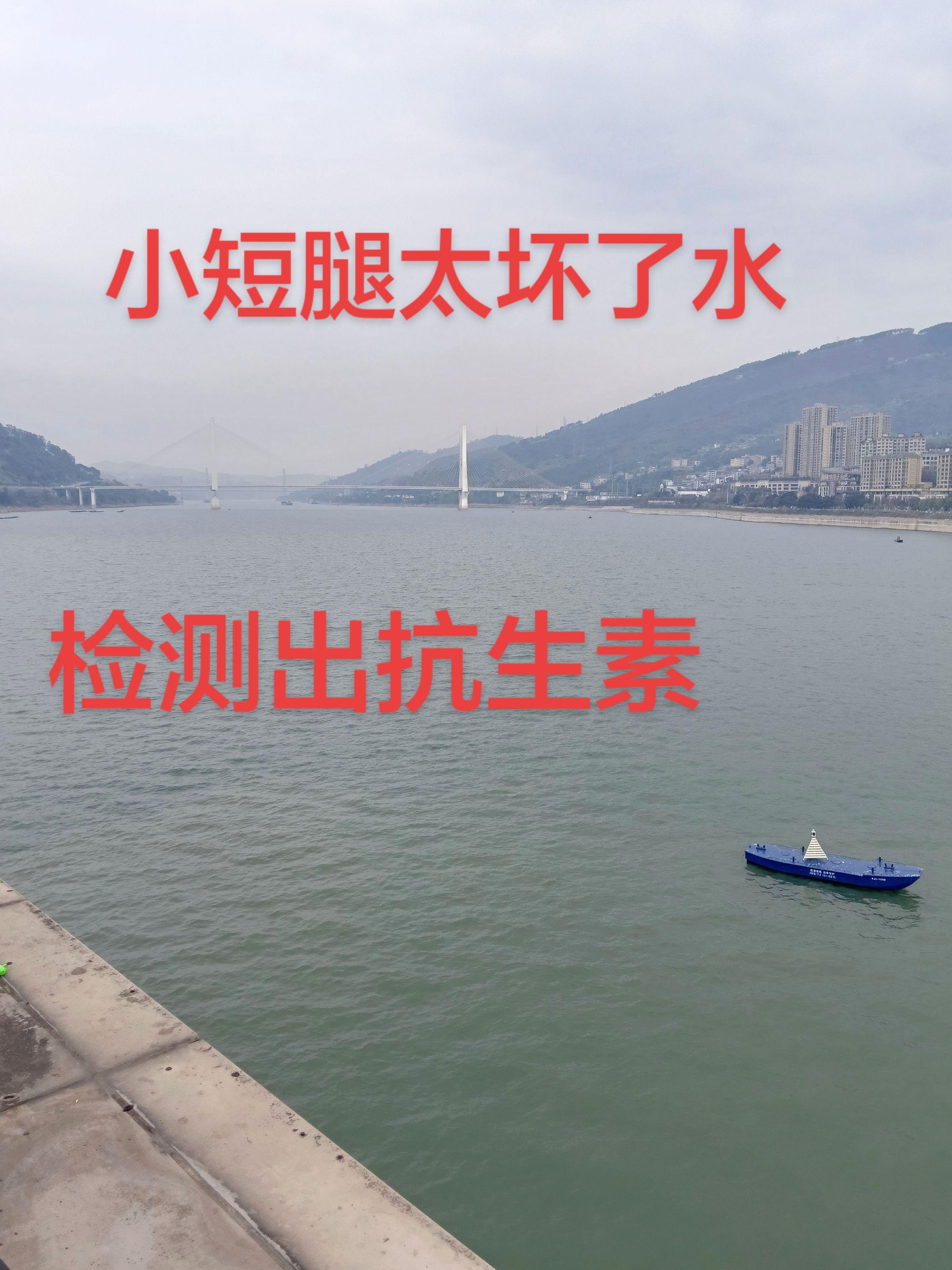 顺手一拍都是风景